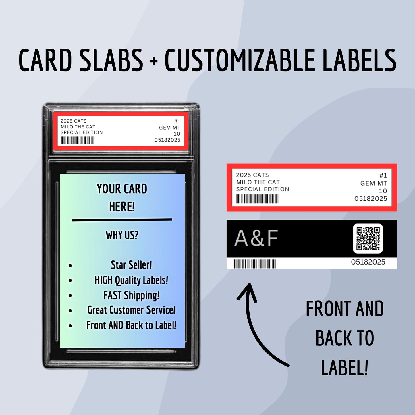 Empty Graded Card Slab with Optional Labels